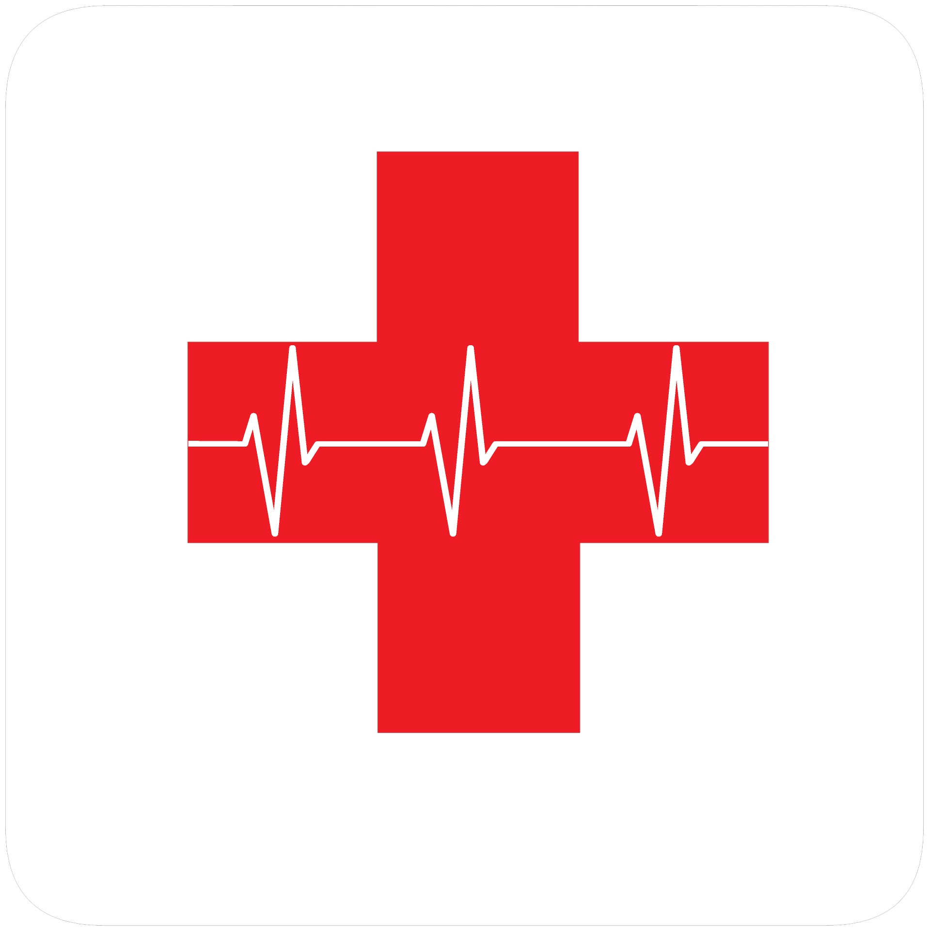 Workshop: 'Medical conditions needing immediate intervention'